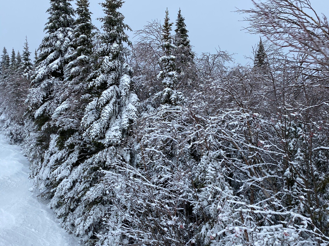 Le Massif de Charlevoix景点图片