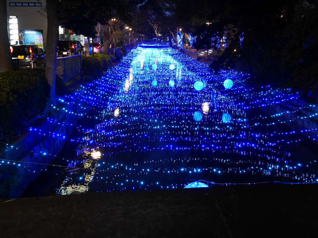 Nishigawa Canal Park景点图片