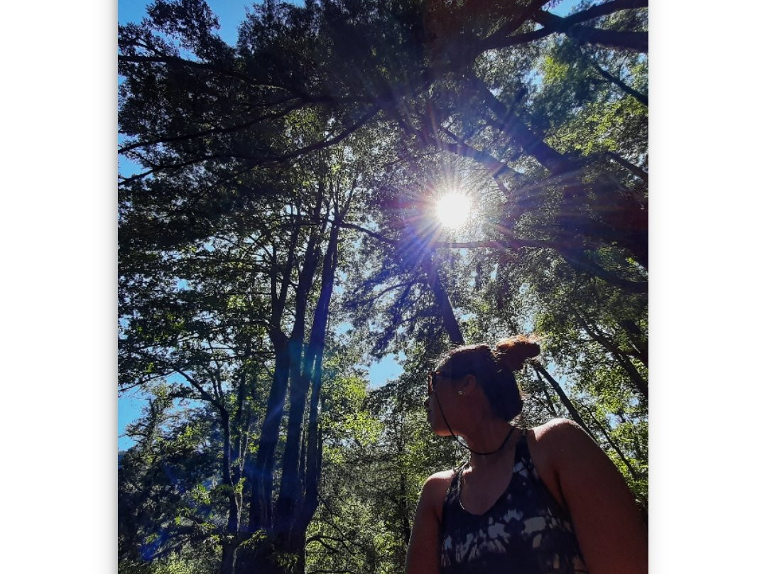 Termas Canon del Blanco-Curacautin必去景点