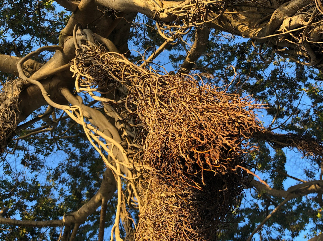 Lemon Bay-努美阿必去景点