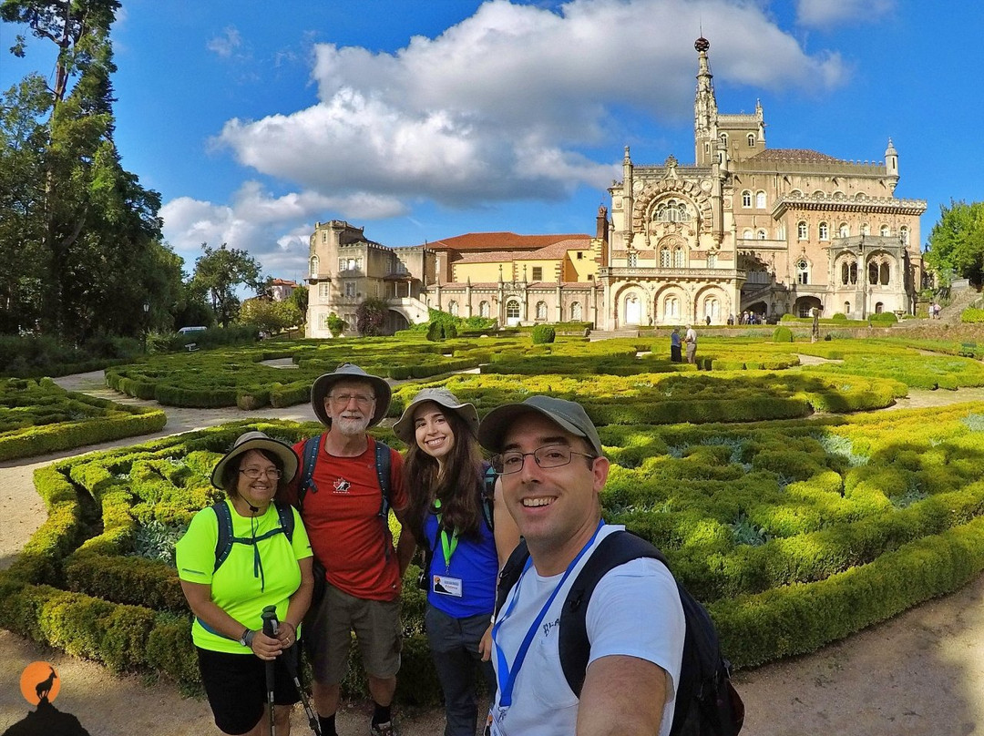 Aventuras Forte(s) - Turismo de Natureza-科英布拉区必去景点
