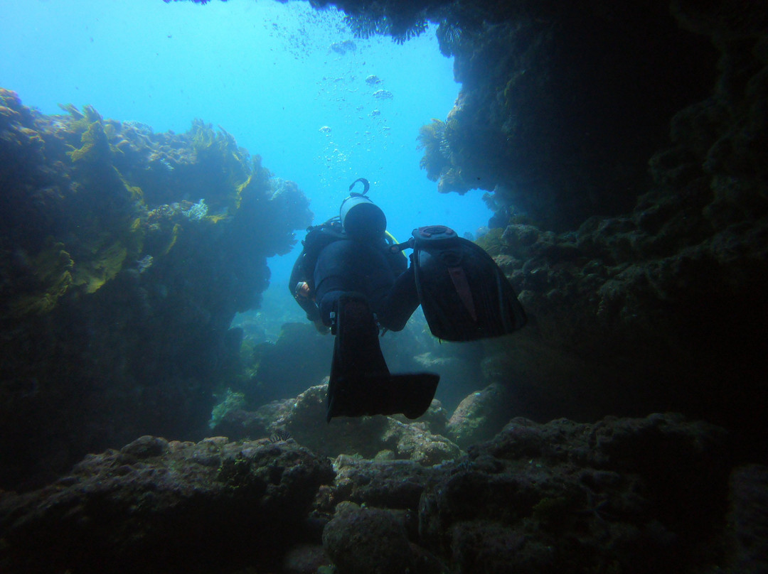 Native Diving-Puerto Lopez必去景点