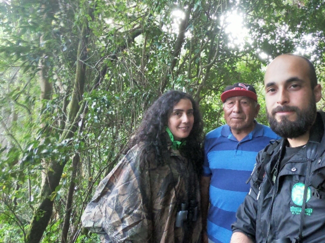 Lago Budi-Puerto Saavedra必去景点