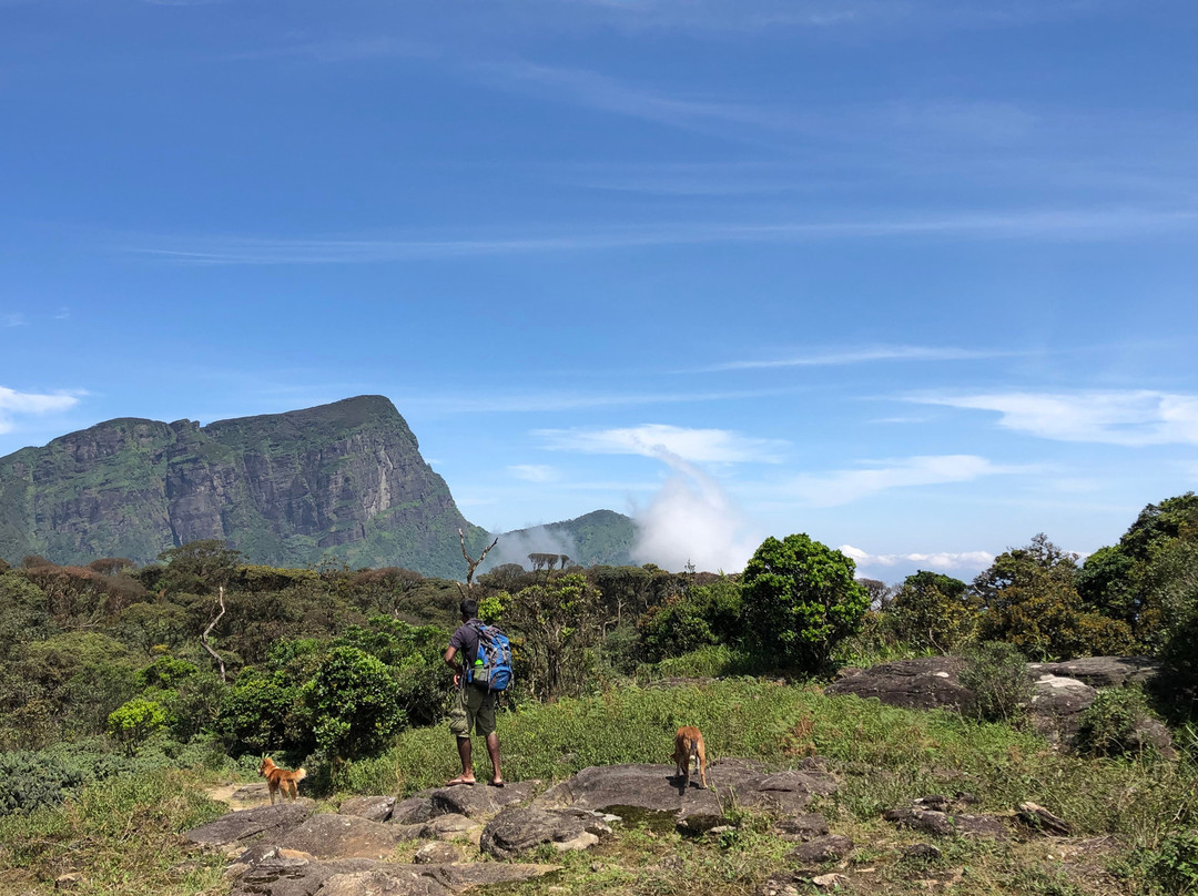 Sri Lanka Trekking景点图片