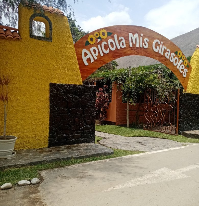 Puente Colgante de Catapalla-Lunahuana必去景点