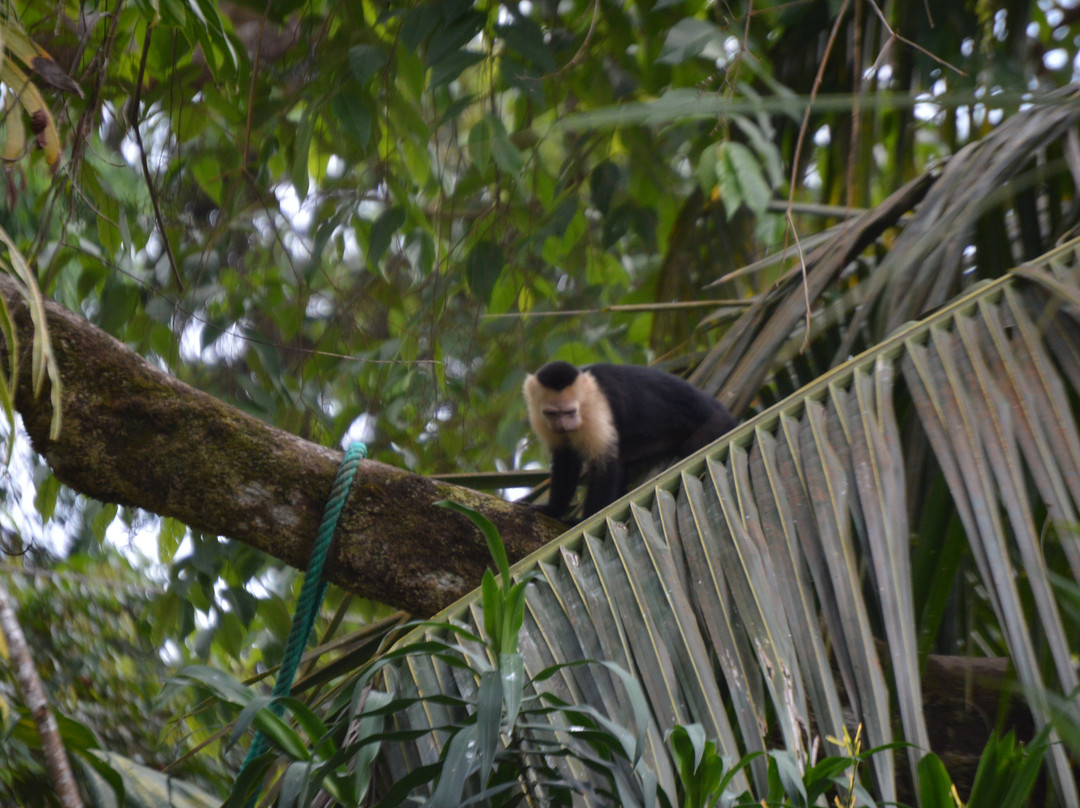 Pacific Edge Eco Lodge主图