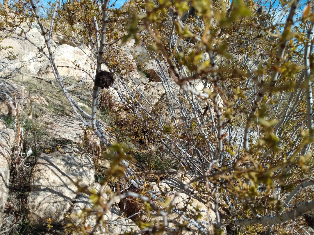 Saddleback Butte State Park-兰开斯特必去景点