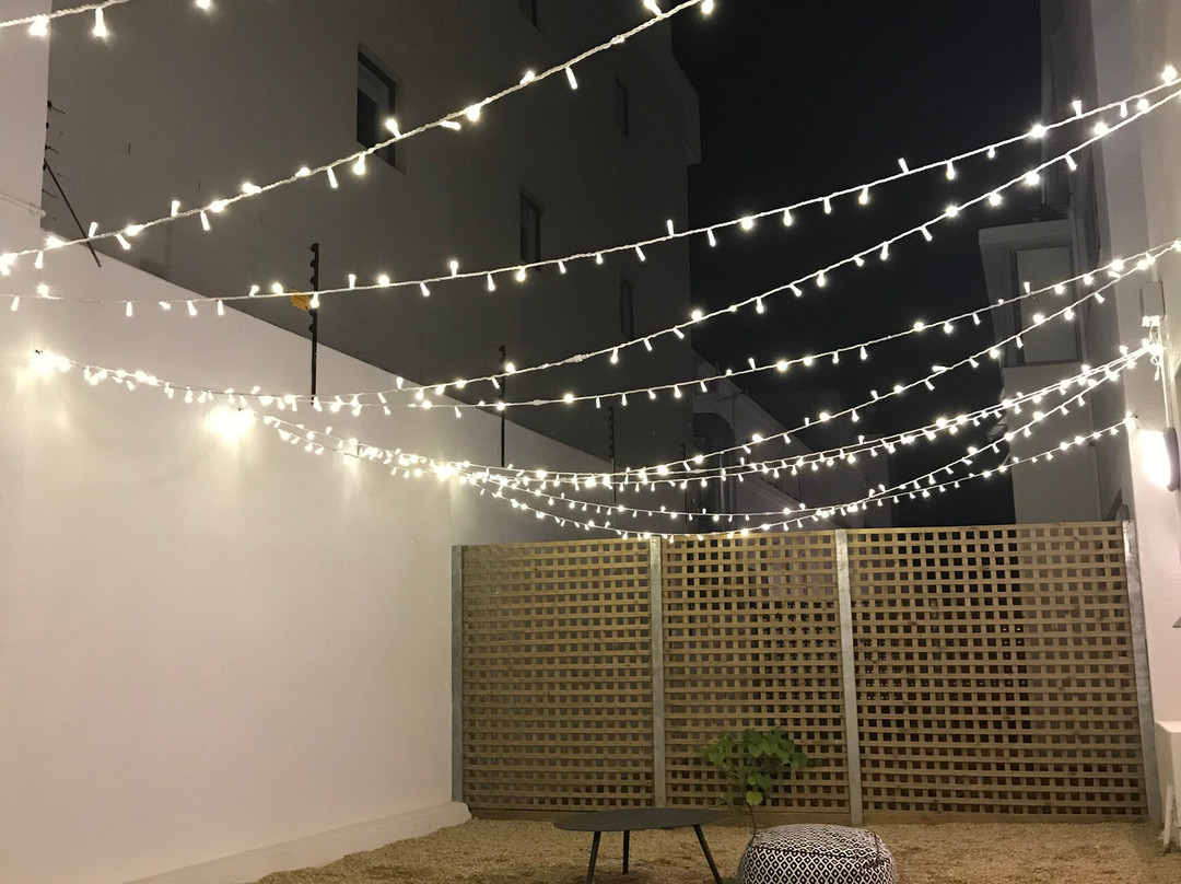 CURIOCITY Green Point主图