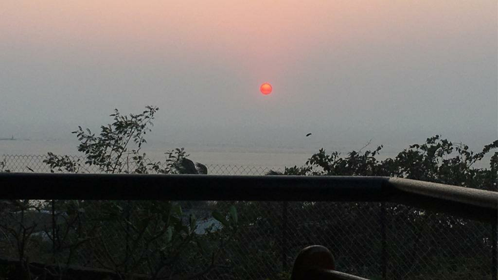 The Lighthouse主图