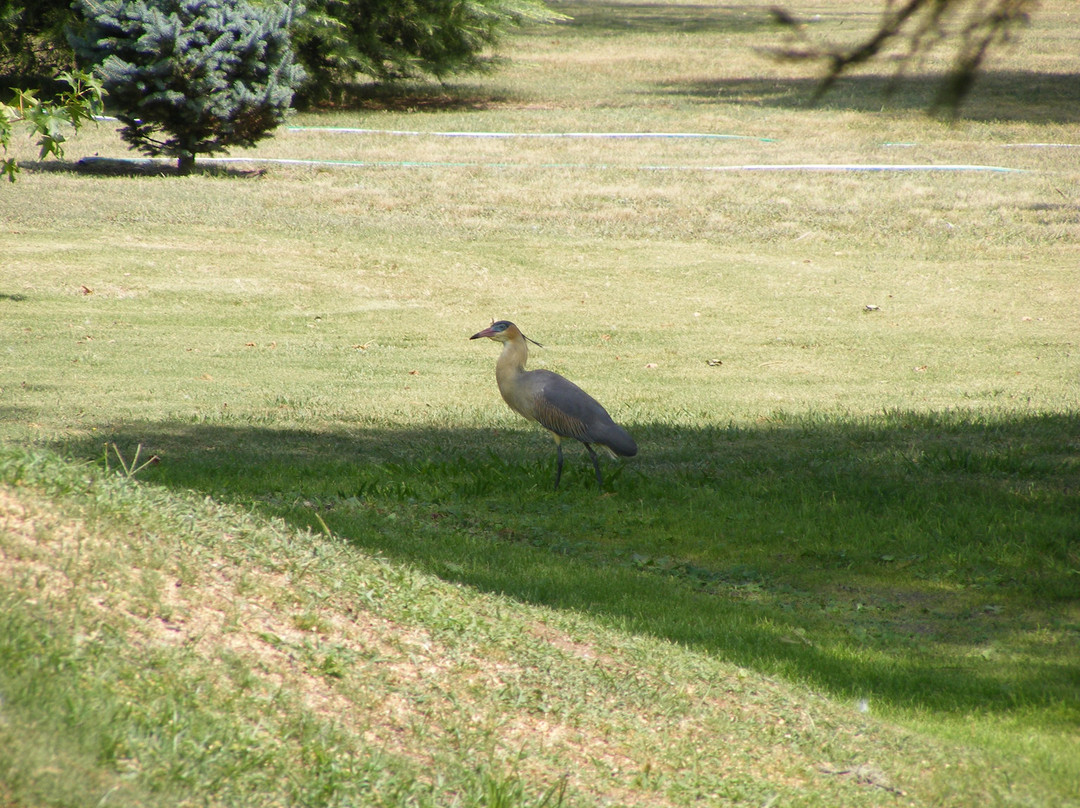 Piedras Del Sol主图