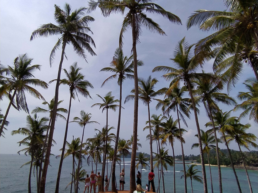 I Go Lanka Tours-卡图纳耶克必去景点