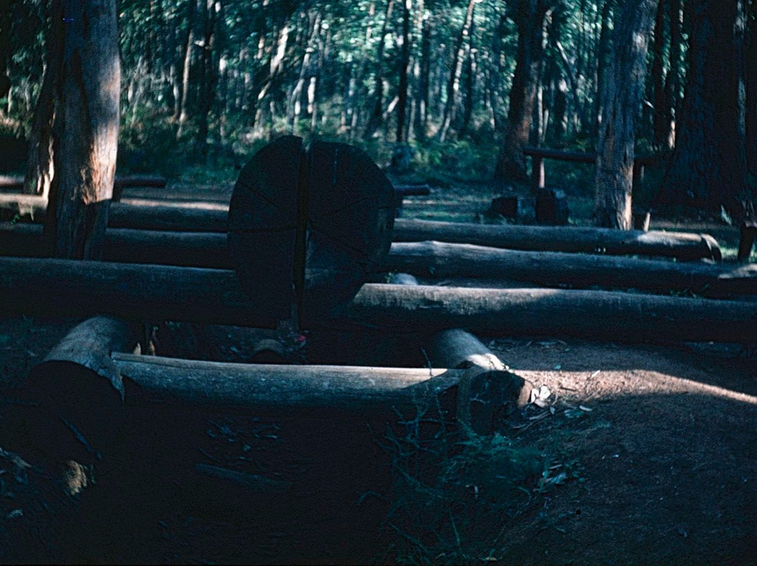 Sawpit Campground景点图片