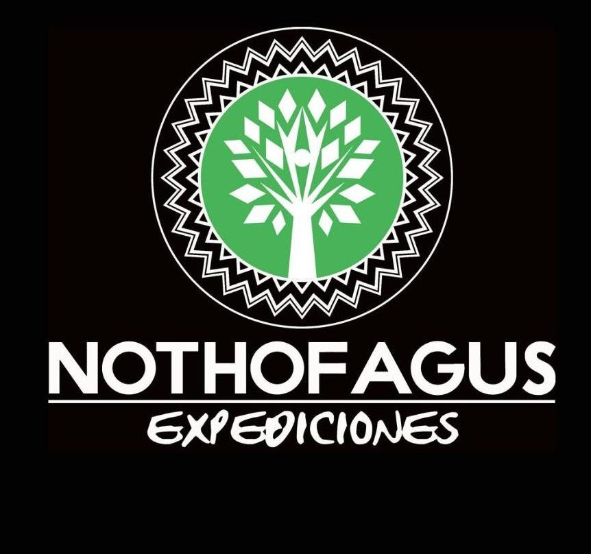 Nothofagus Expediciones