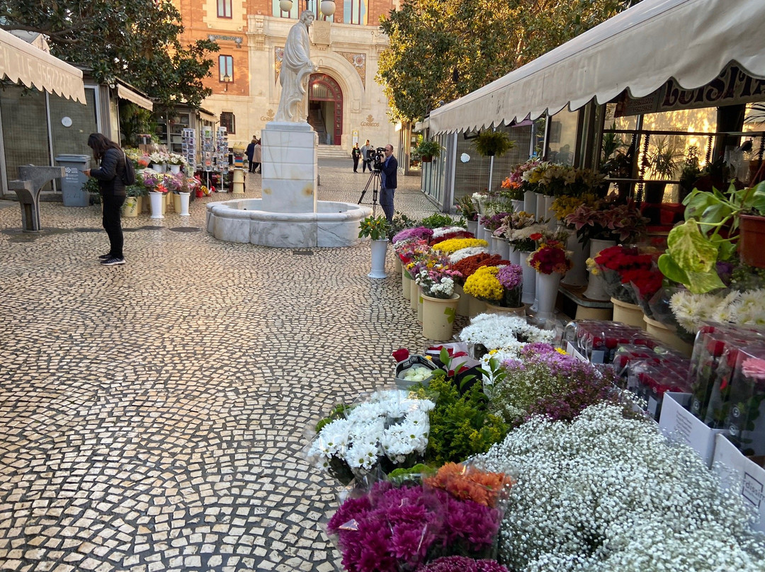 Plaza de Las Flores-加的斯市必去景点