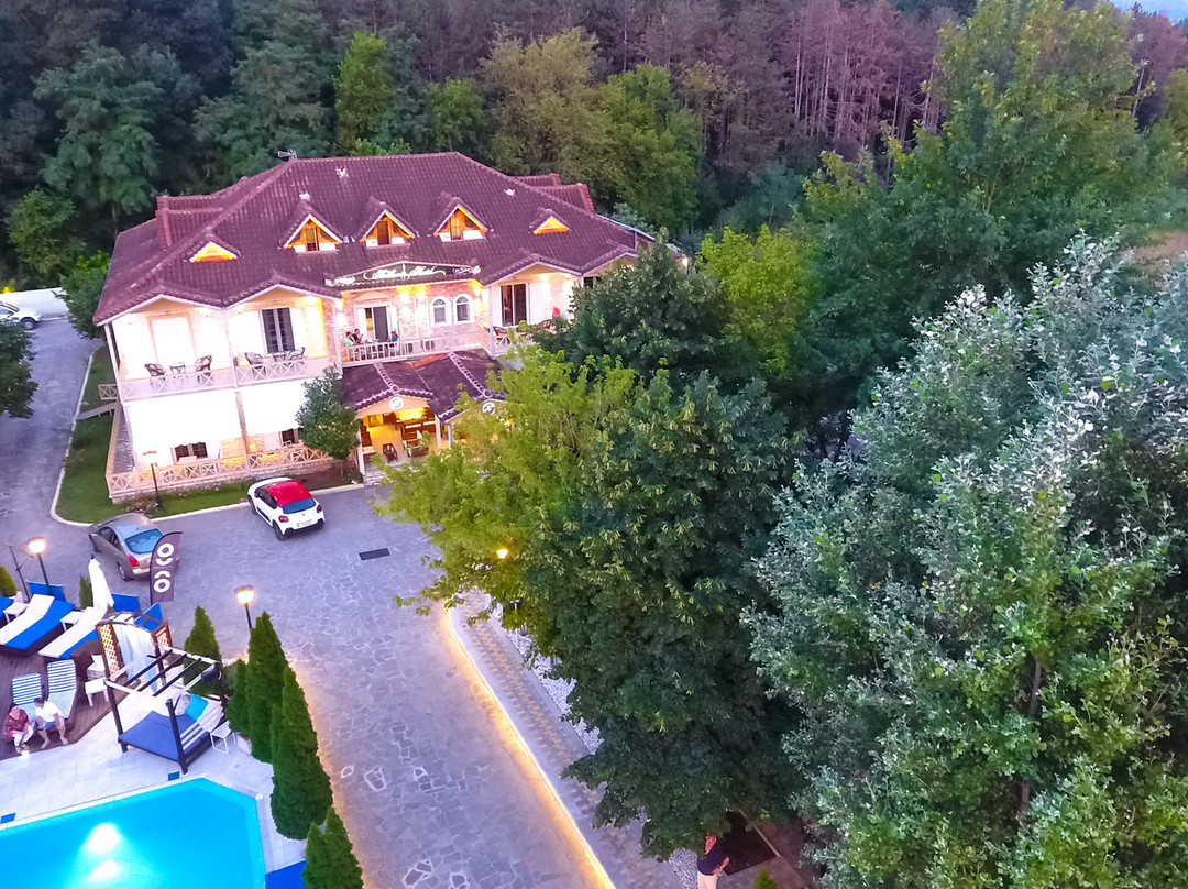 Krikonis Hotel Ioannina主图