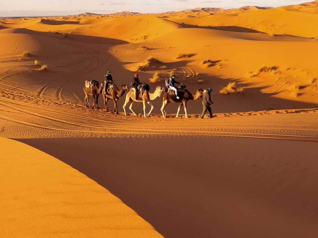 Merzouga Camel Trekking - Day Tours-梅如卡必去景点