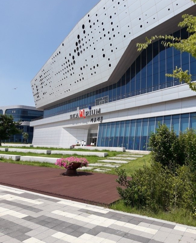 Seocheon Haeyang Museum-舒川郡必去景点