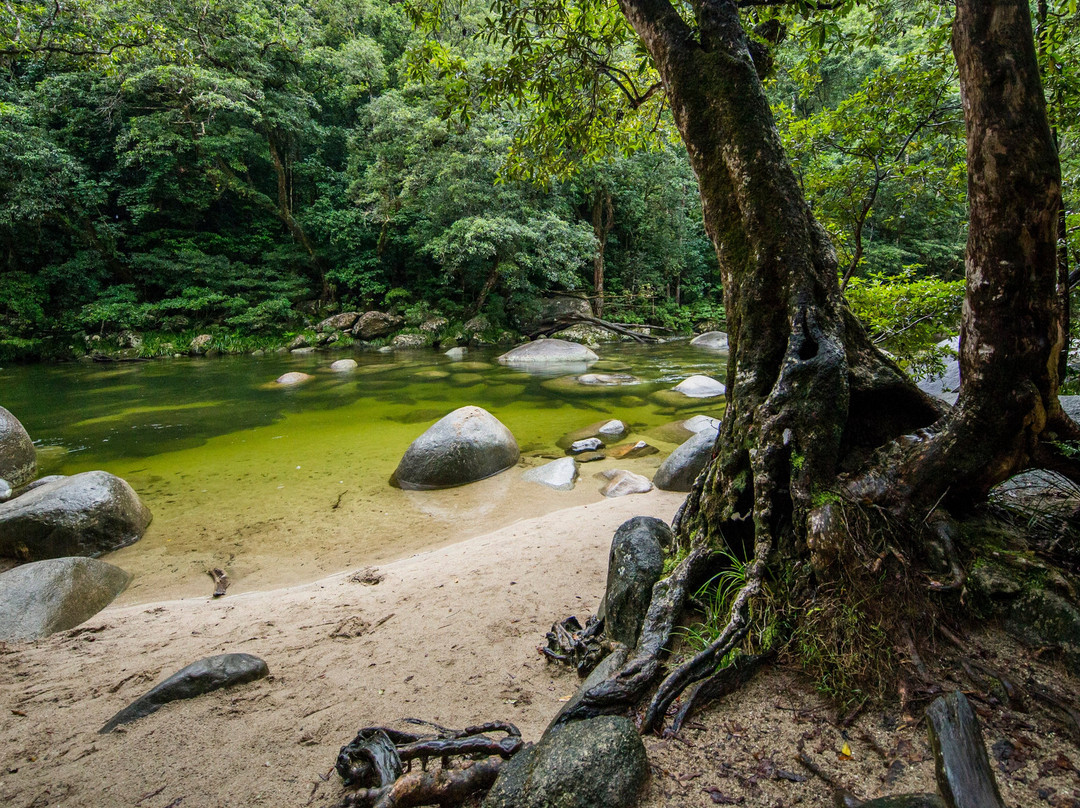 Daintree Wonder Tours-道格拉斯港必去景点