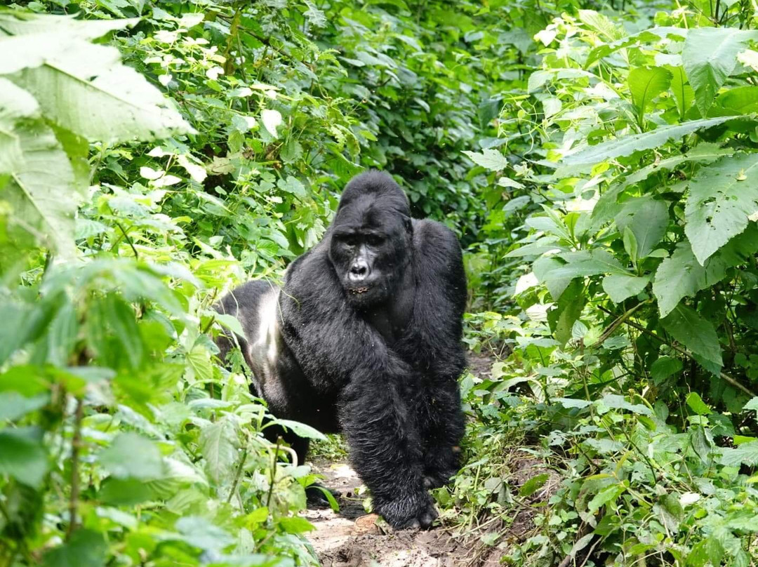 Grassrootz Adventures Uganda-坎帕拉必去景点