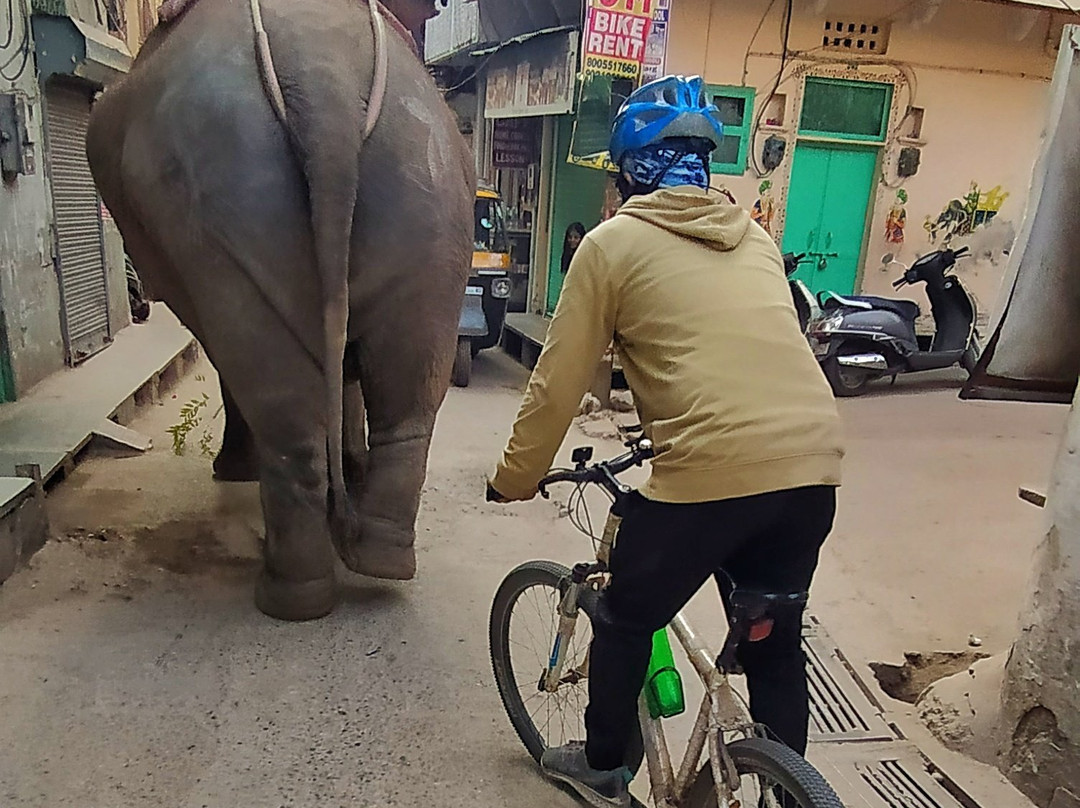 Udaipur Cycling景点图片