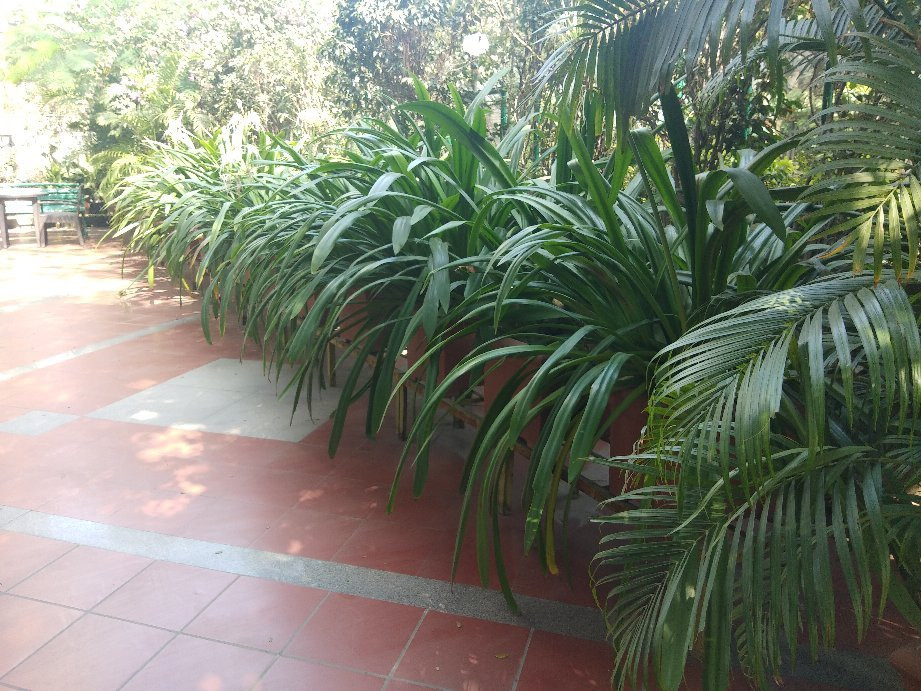 预算贝勒维酒店主图