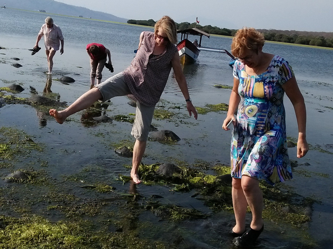 The Arya Guest House主图