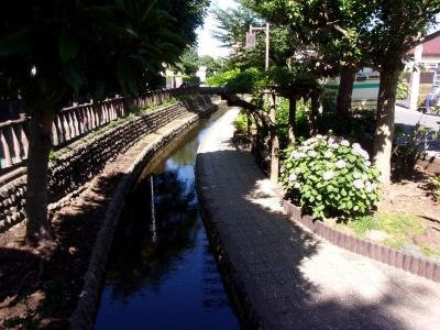 Furukawa Shinsui Park-江戸川区必去景点