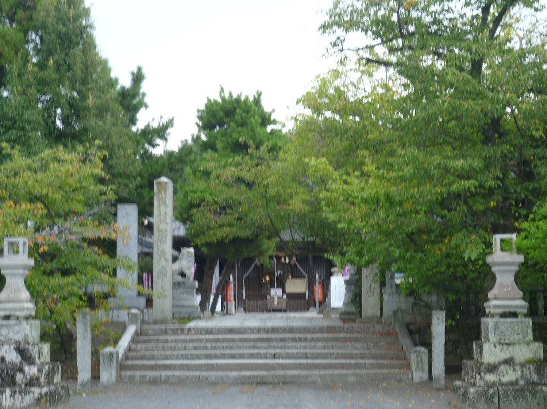 Nakatsu Shrine景点图片