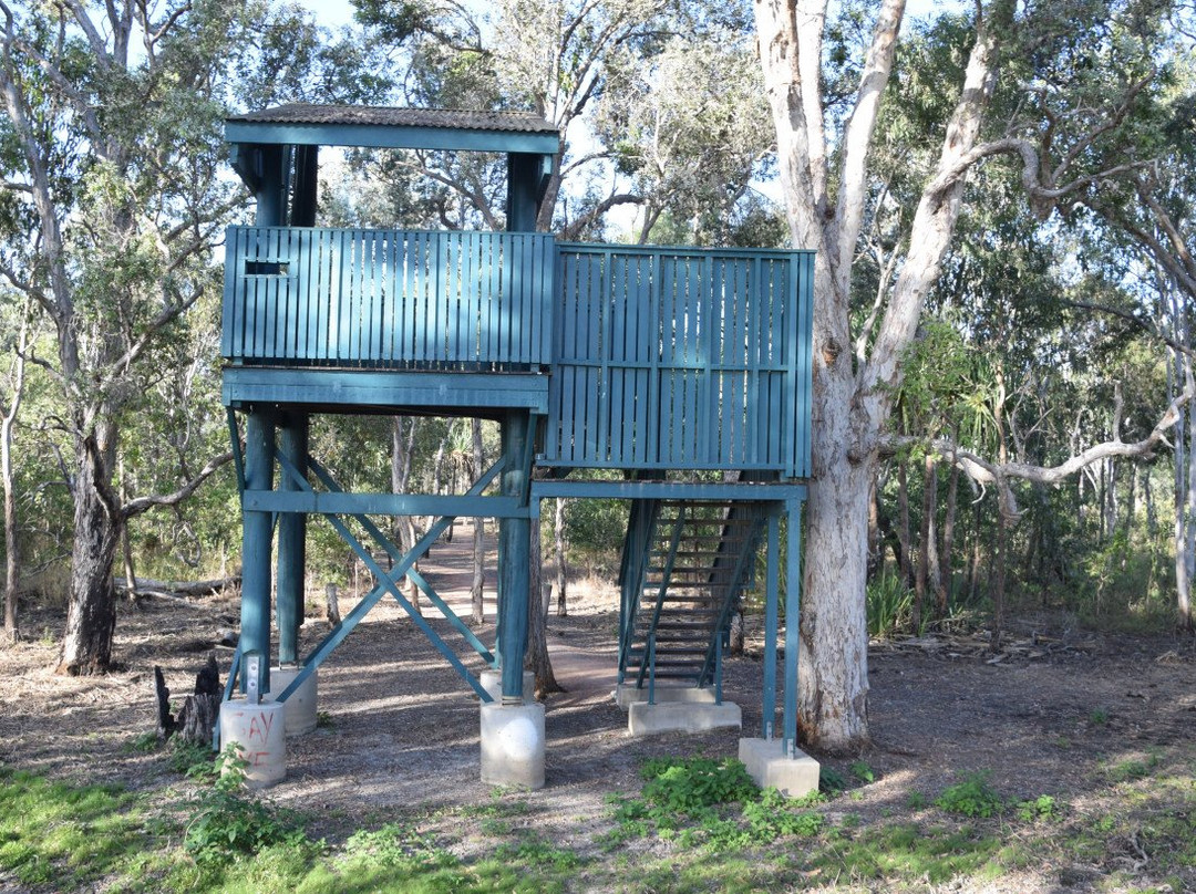 Townsville Town Common Conservation Park景点图片