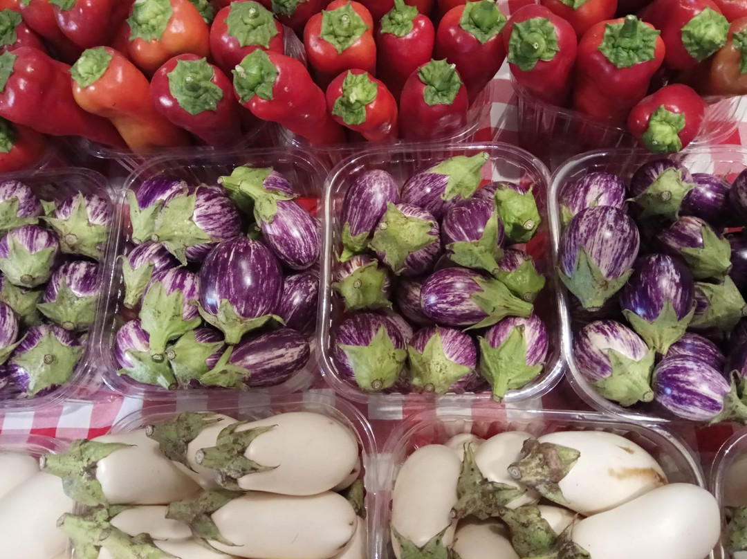 Good Mood Food-Binyamina必去景点