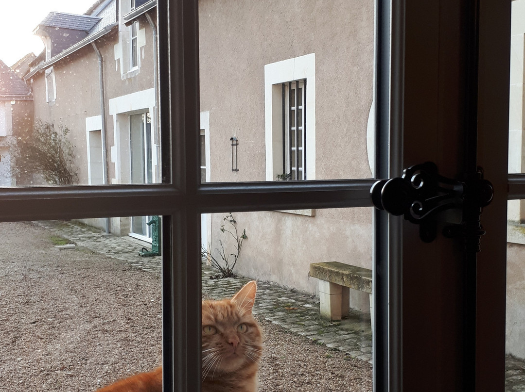 Le Manoir du Clôt主图