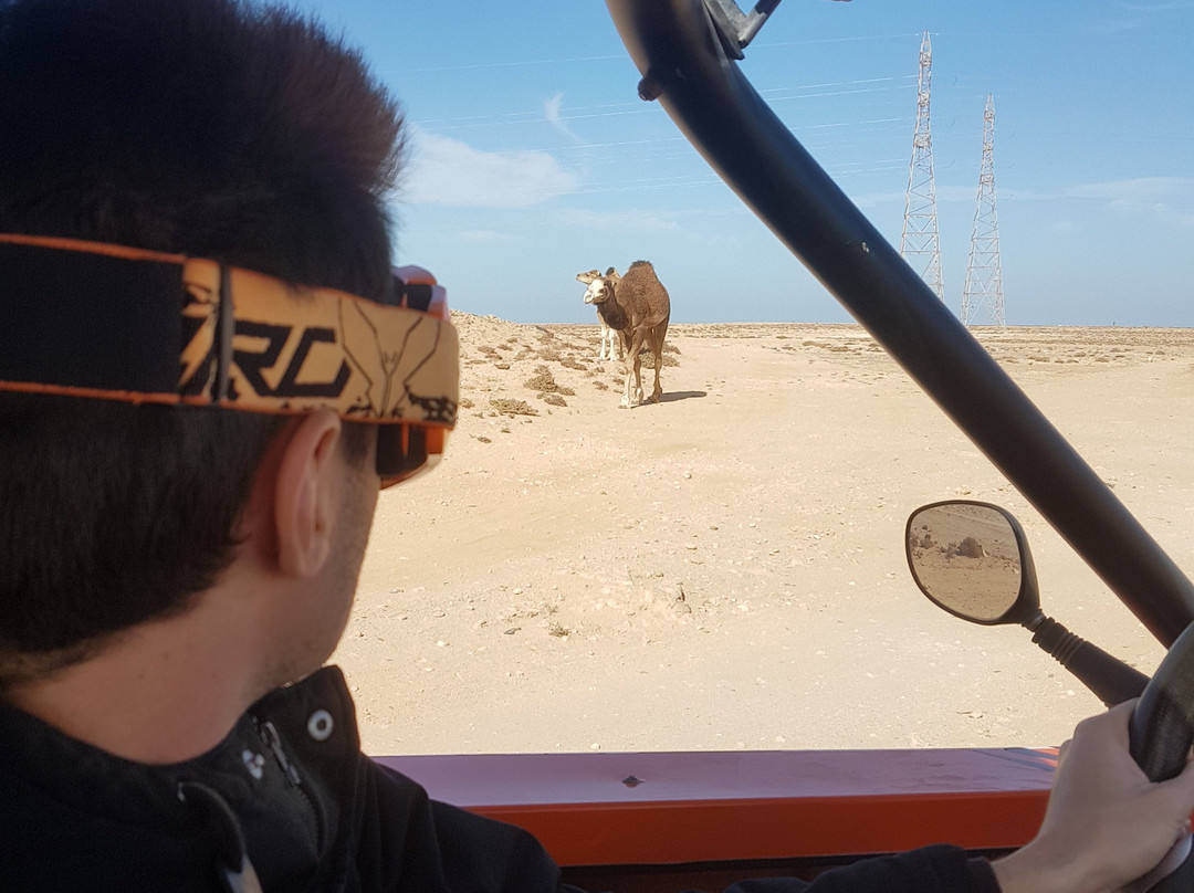 Dakhla Motorsport - Buggy-达赫拉必去景点