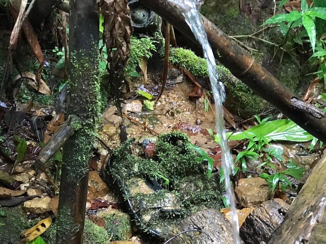 Cachoeira da Chinela景点图片
