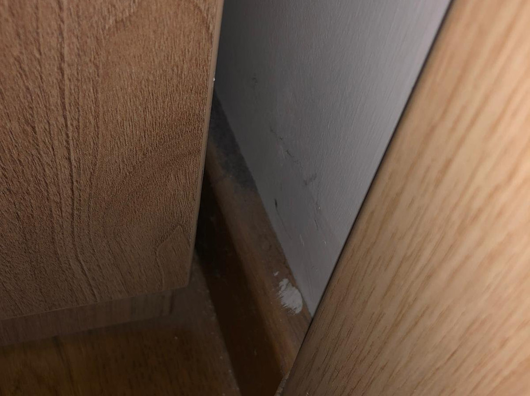 Mons Zlatibor Hotel & Apartments主图