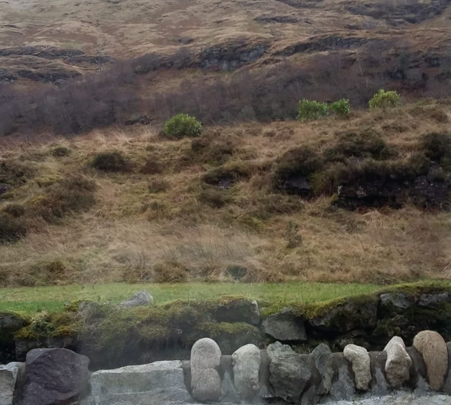 Ardsheal House主图