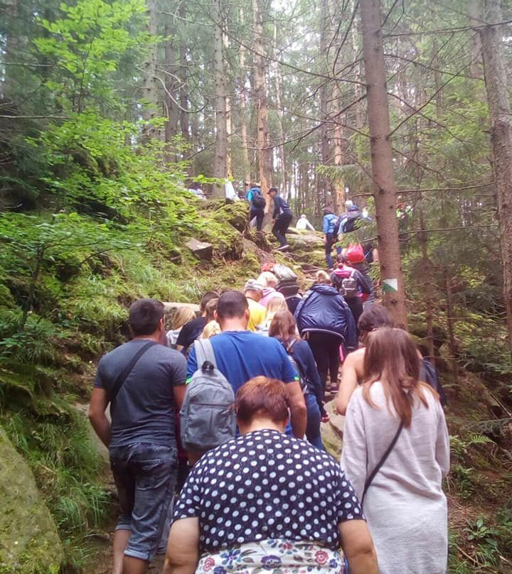 Mount Hoverla-Vorokhta必去景点