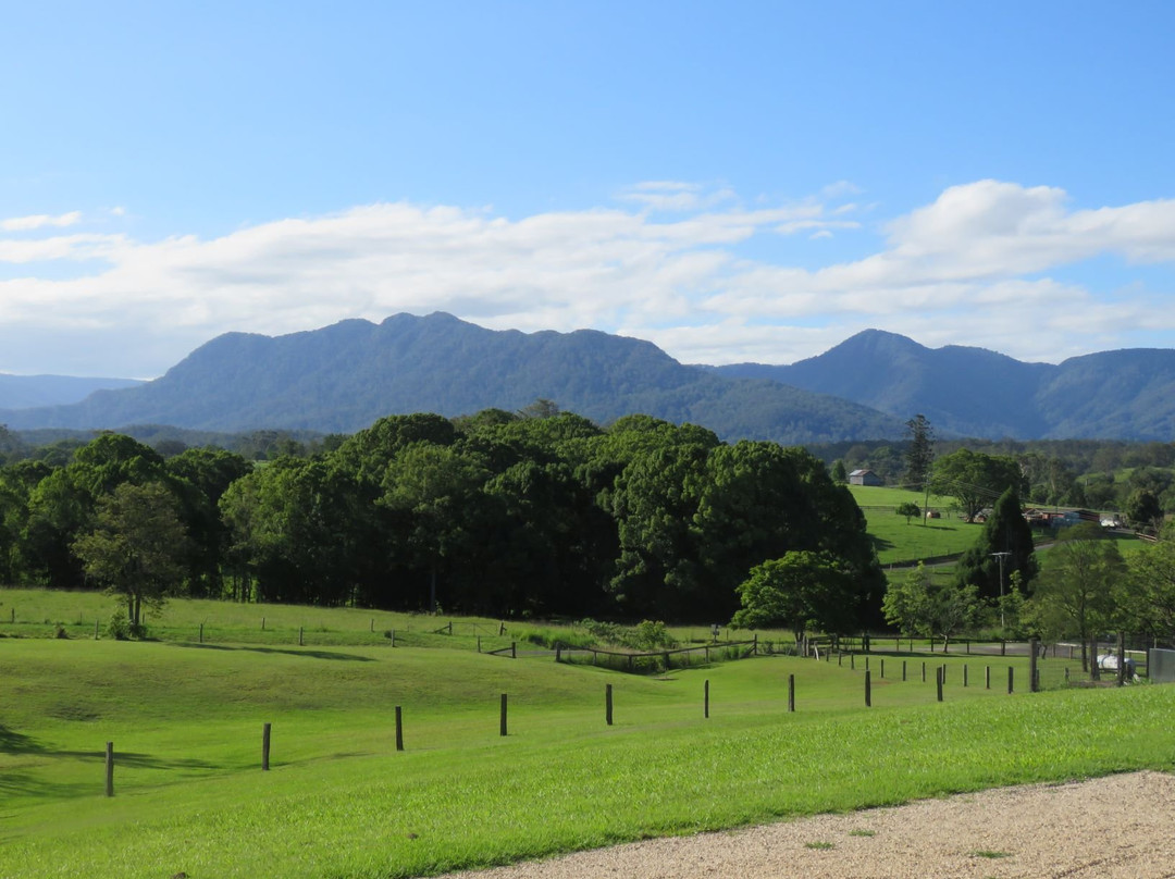 The Lodge Bellingen主图