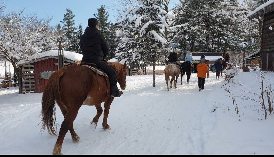 Clark Horse Garden-旭川市必去景点