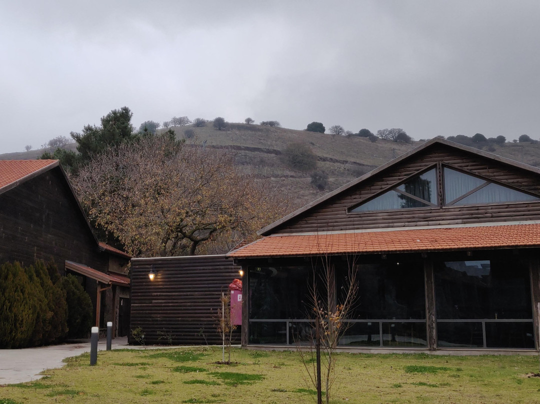 Merom Golan Resort主图