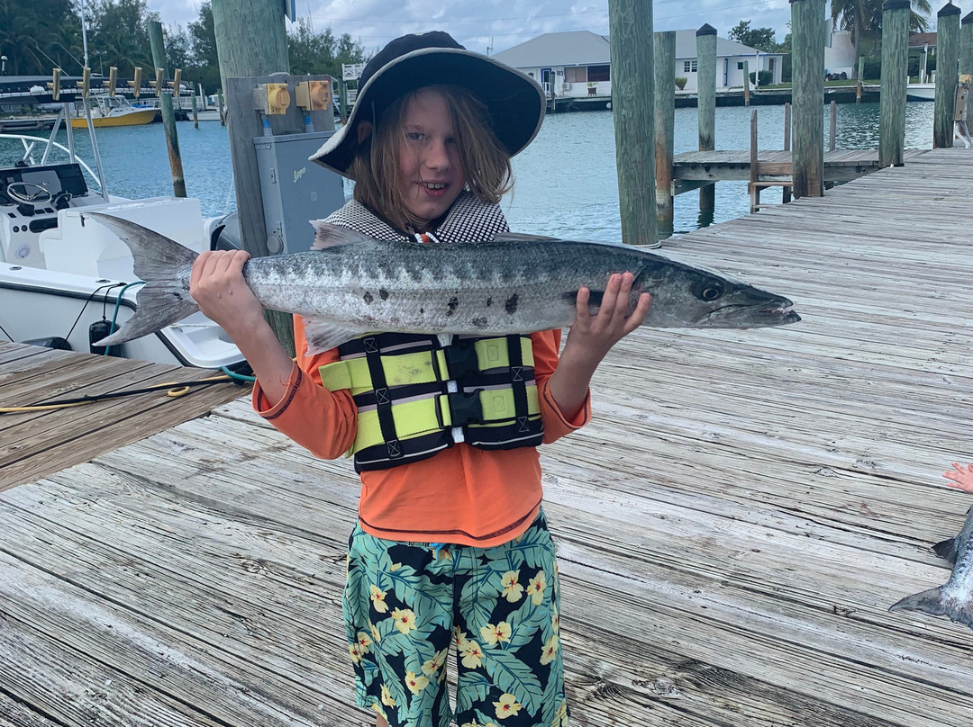 Double D & I-伊柳塞拉必去景点