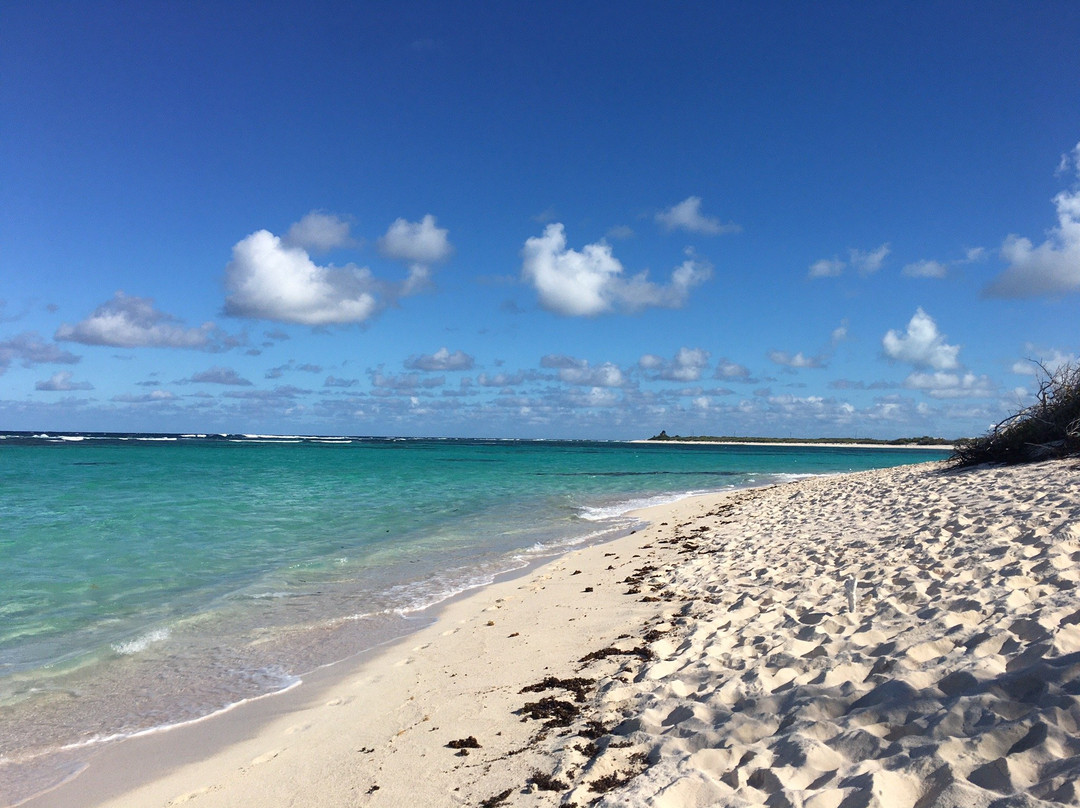 Loblolly Beach-Anegada必去景点