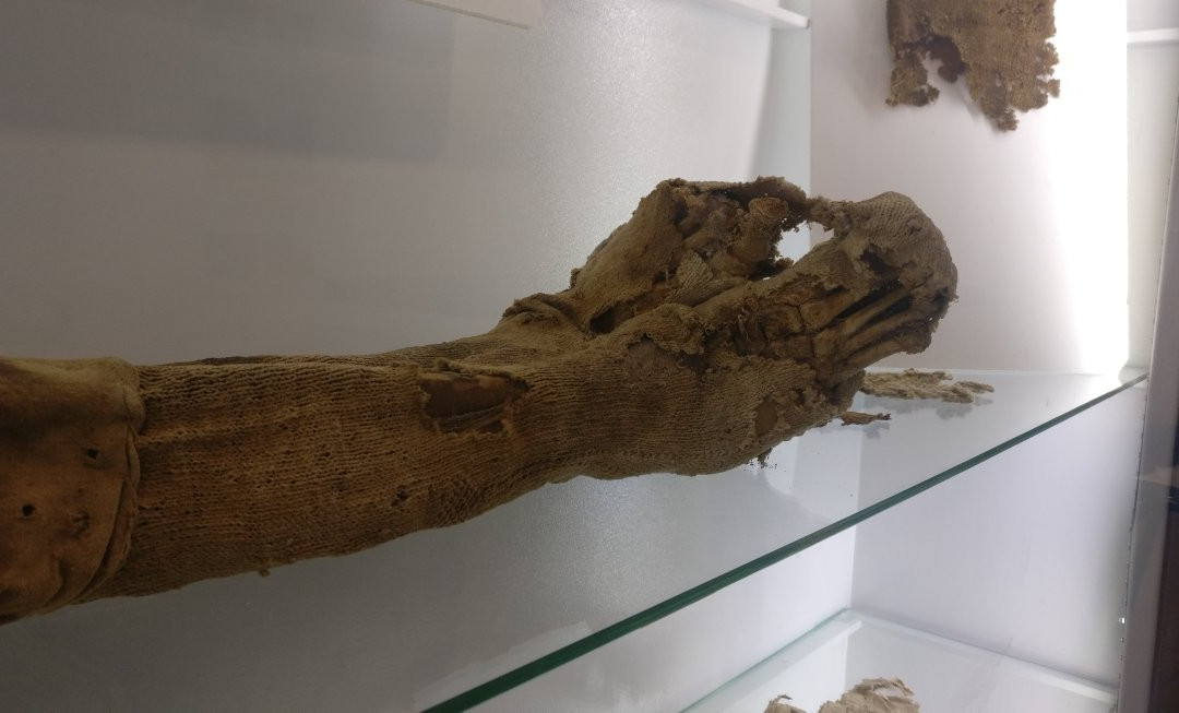 Museo Delle Mummie Roccapelago景点图片