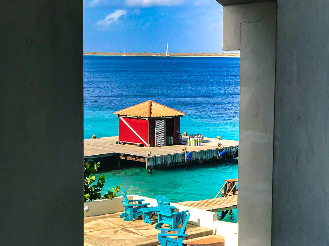 Captain Don's Habitat主图