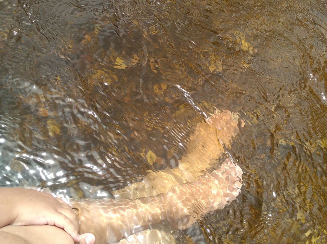 Cachoeira do Mangue-蒂拉登特斯必去景点