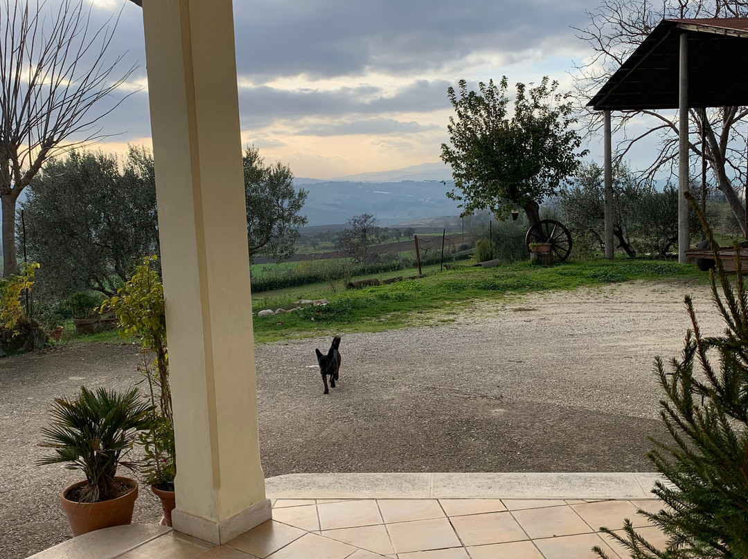 Taverna Saglieta