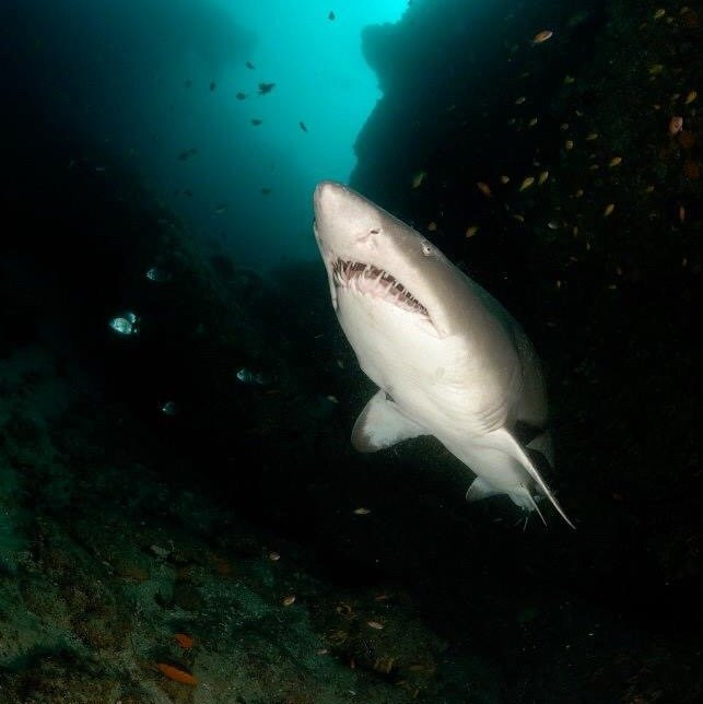 Wetu Safaris-Umkomaas必去景点