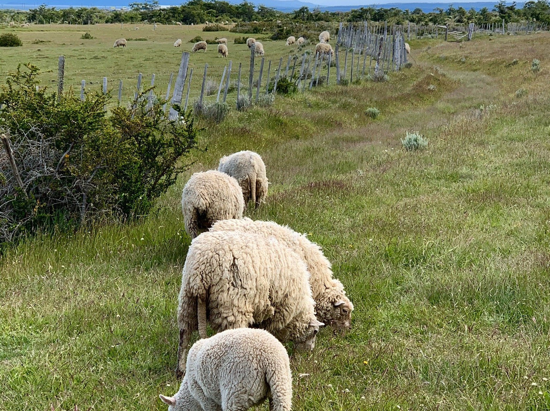 Mirador Cerro Dorotea-纳塔莱斯港必去景点