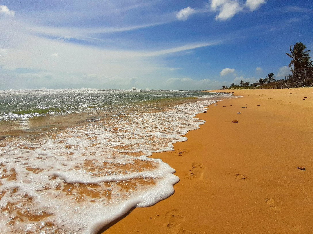 Barreta Beach景点图片