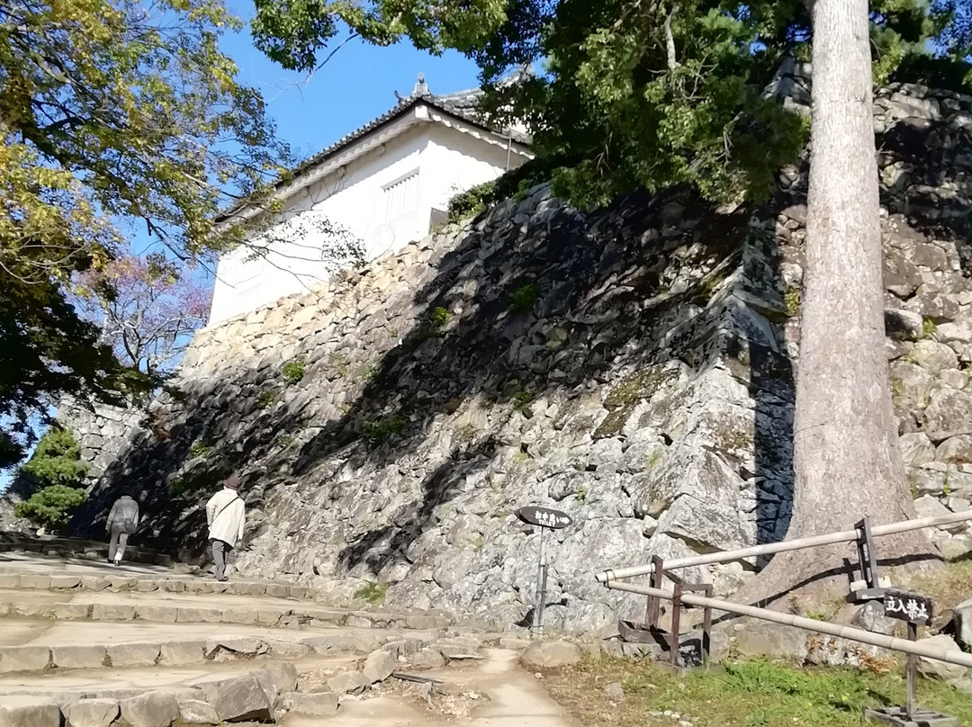 Hikone Castle Taikomon Tower景点图片