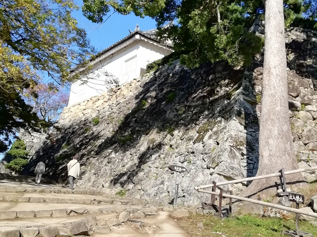 Hikone Castle Taikomon Tower-彦根市必去景点